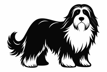 bearded collie  silhouette vector illustration
