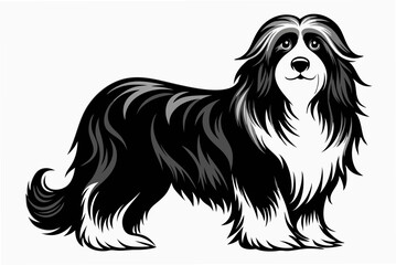 bearded collie  silhouette vector illustration