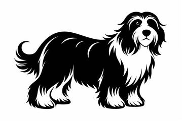 bearded collie  silhouette vector illustration