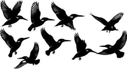 Obraz premium set of swallow bird logo clip art silhouette design vector art illustration 