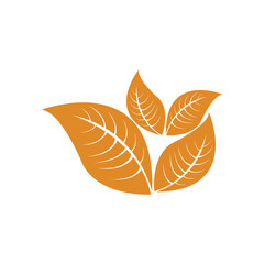 Tobacco leaf logo Icon,Vector logo for natural tobacco 