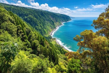 Obraz premium Lush green hills meet turquoise ocean