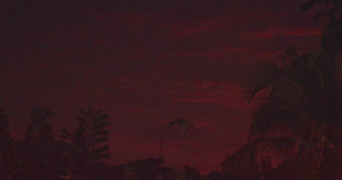 The Indian flying fox - Pteropus medius - the greater Indian fruit bat, is a species of flying fox native to the Indian subcontinent. It is one of the largest bats in the world. Dark silhouettes of