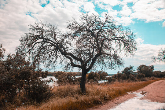Naturaleza muerta