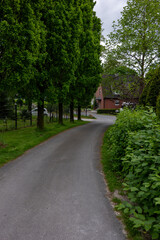 road in the park