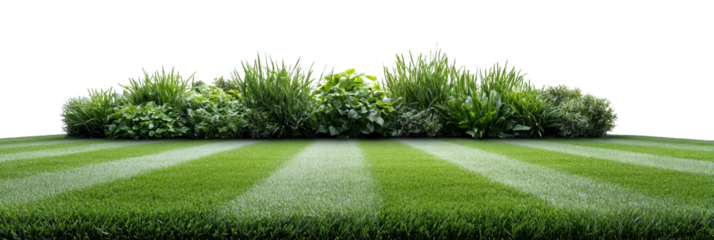 Lush green field with a dense hedge of bushes in the background against a dark backdrop. Png, Isolated on background.