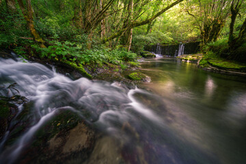 A small stream flows into a wide pool under a dam
