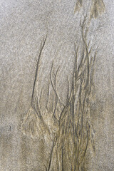 Abstract interpretation of the shapes drawn by the tide in the sand of a beach