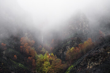 Dark tones among the mist reveal the devastation of a mountain fire