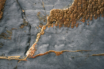 Filigrees of golden pyrite on the dark slate of a cliff