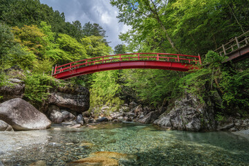 岐阜県中津川市　新緑の夕森渓谷
