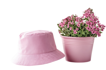 Pink hat and flowerpot still