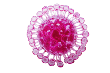 Pink virus cell rendering