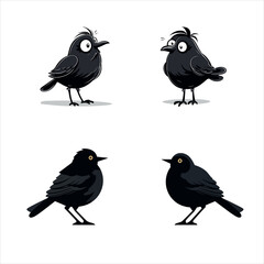 Bird group silhouette illustration design