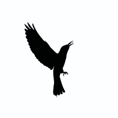 Fototapeta premium Solid black silhouette of a bee-eater catching, Vector Graphic
