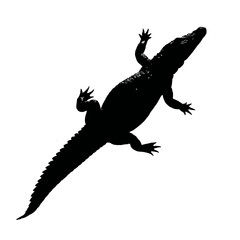 Naklejka premium Solid black silhouette of a crocodile lurking, Vector Graphic