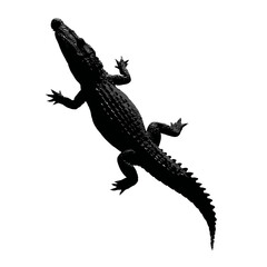 Fototapeta premium Solid black silhouette of a crocodile lurking, Vector Graphic