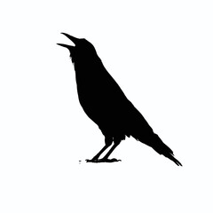 Solid black silhouette of a crow cawing, Vector Graphic
