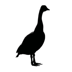 Obraz premium Solid black silhouette of a goose aggressive, Vector Graphic