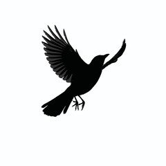 Obraz premium Solid black silhouette of a jay flying, Vector Graphic