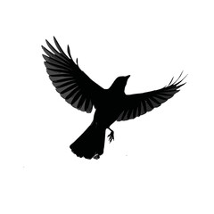 Obraz premium Solid black silhouette of a jay flying, Vector Graphic