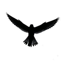Obraz premium Solid black silhouette of a kestrel hovering, Vector Graphic