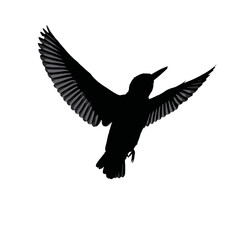 Obraz premium Solid black silhouette of a kingfisher diving, Vector Graphic