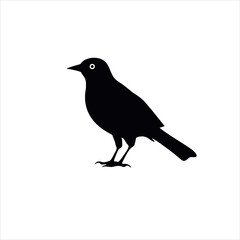 Bird silhouette illustrator vector design