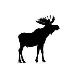 Solid black silhouette of a moose standing, Vector Graphic