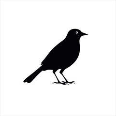 Bird silhouette vector design in illustrator