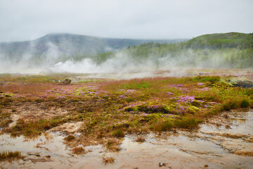 Fumaroles near the famous Strokkur geyser on a foggy rainy day in Iceland.