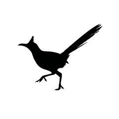 Fototapeta premium Solid black silhouette of a roadrunner sprinting, Vector Graphic