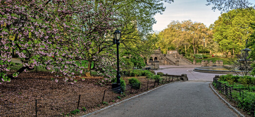 Bethesda Terrace and Fountain