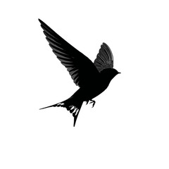 Solid black silhouette of a swallow swooping, Vector Graphic