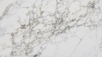 Fototapeta premium Elegant Marble Veins: A close-up view showcases a stunning natural marble pattern, with intricate gray veins weaving through a pristine stone surface, perfect for refined design elements. 