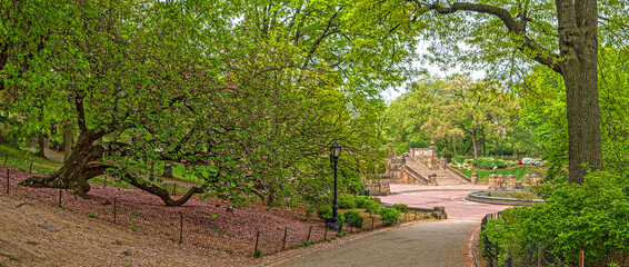Bethesda Terrace and Fountain