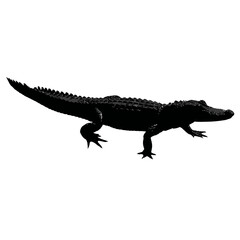 Naklejka premium Solid black silhouette of an alligator lurking, Vector Graphic