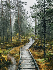 Obraz premium Wooden Pathway Through Misty Forest