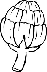 Farmer Market an Artichoke  Doodle Outline Hand Drawn