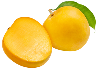 Yellow Mango with leaf on white background, Sweet Yellow Mango tropical fruit isolate on white PNG file.