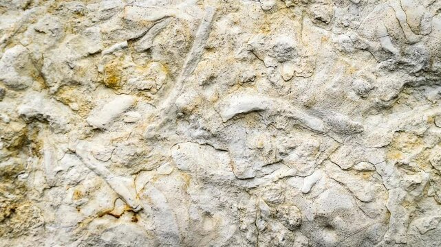 light limestone with interesting texture visible. background
