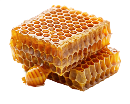 Honeycomb with honey isolated on white background PNG