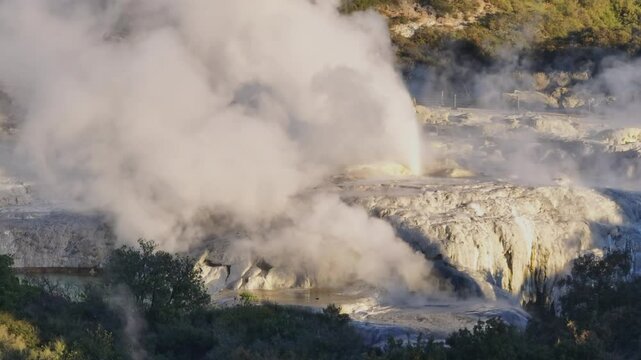 Spectacular view of Pohutu Geyser erupting at Te Puia, a geothermal park in Rotorua, New Zealand. A popular tourist destination.