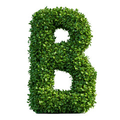 Creative Greenery Letter B Display Outdoor Environment Nature Showcase