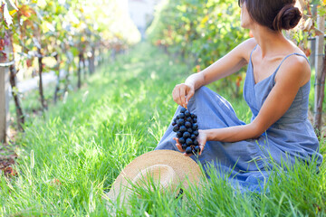 Young woman sitting in vineyard with straw hat, grapes. Beautiful girl in dress traveling in...