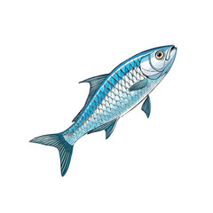 Fototapeta premium fish on a white background
