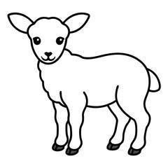 Baby Sheep vector line art on white baclground