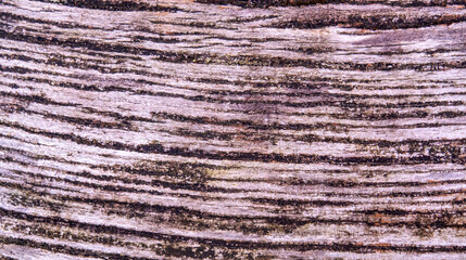 Weathered Wood Textured Abstract Background Design
