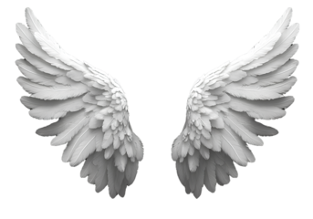 White angel wings isolated on a transparent background