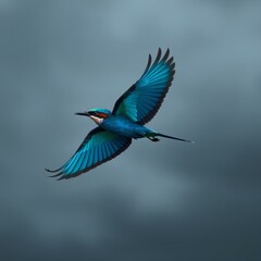 Obraz premium A blue bird flying in the sky